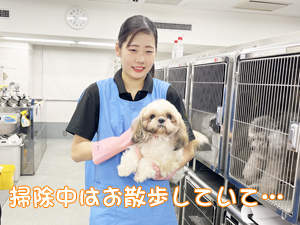 １年生が成犬、２年生が子犬をお世話♪